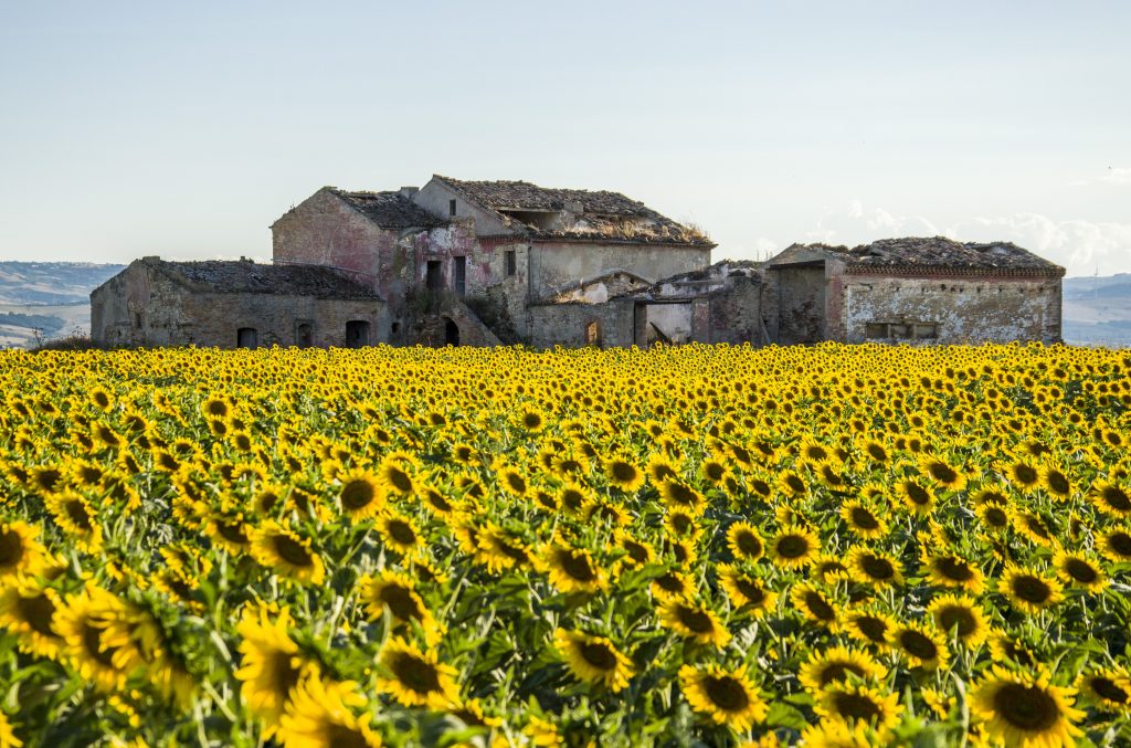 POSTIAMOLISE MOLISE ECCELLENTE SALVATORE MICONE AUTORE SCATTO