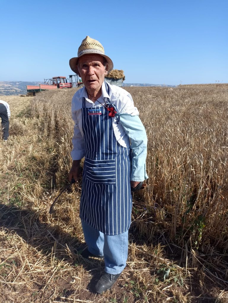 tradizioni molise