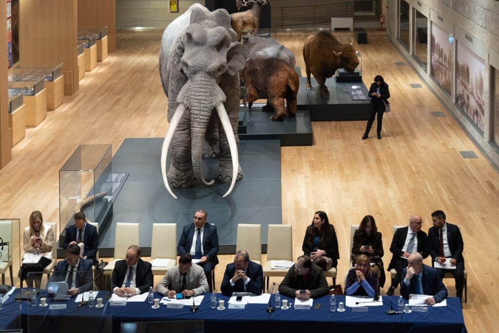 CONFERENZA DEI PRESIDENTI