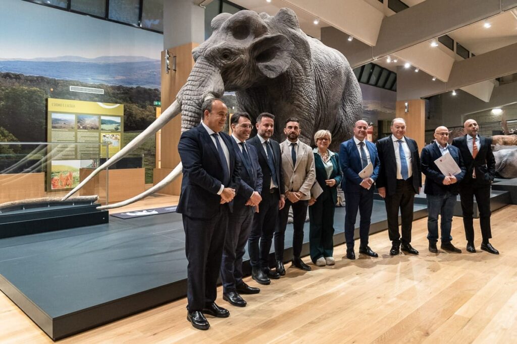 CONFERENZA DEI PRESIDENTI