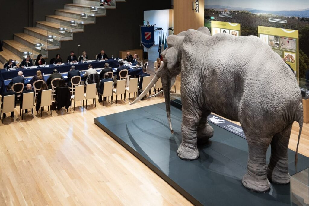 CONFERENZA DEI PRESIDENTI