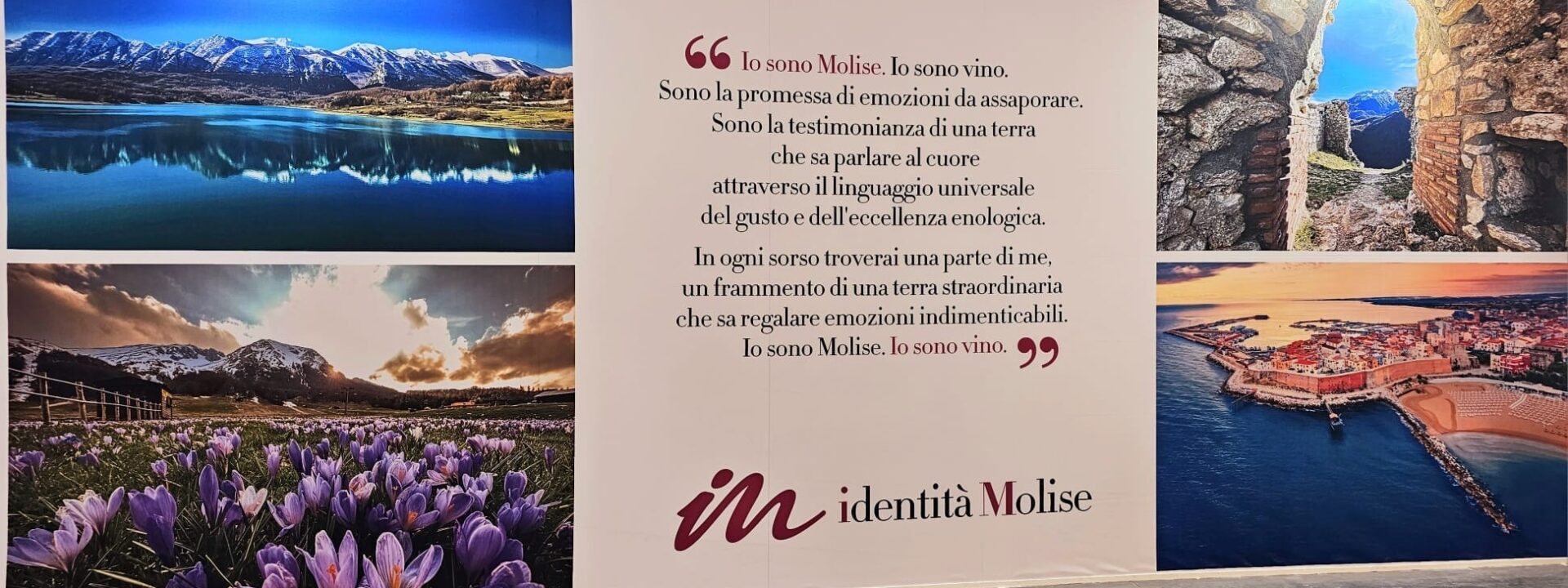 LA REGIONE MOLISE PARTECIPA AL VINITALY DI VERONA