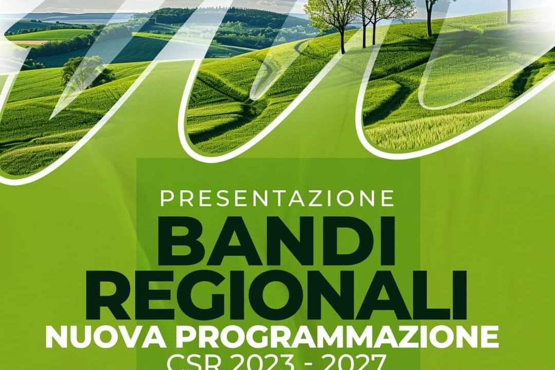 Bandi regionali - Nuova Programmazione